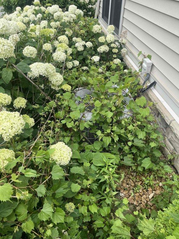 Responded to no cooling complaint on residential air conditioning system. Upon arrival, located outdoor condensing unit surrounded by landscaping and performed diagnostic evaluation of both outdoor and indoor equipment. Inspected furnace/air handler with access panel removed, examined internal components including control board, wiring connections, and mechanical assemblies. Assessed system operation and identified cause of cooling failure, completing necessary repairs to restore proper function.