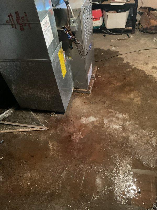 Responded to service call for leaking 40-gallon gas water heater in basement with water damage visible on surrounding concrete floor. Assessed unit leaking from bottom of tank, indicating internal tank failure requiring full replacement. Documented existing installation conditions and basement access requirements, noting two-person crew necessary for safe removal and installation due to basement location and equipment weight. Provided estimate for new gas water heater replacement including proper venting, gas line connections, and code-compliant installation.