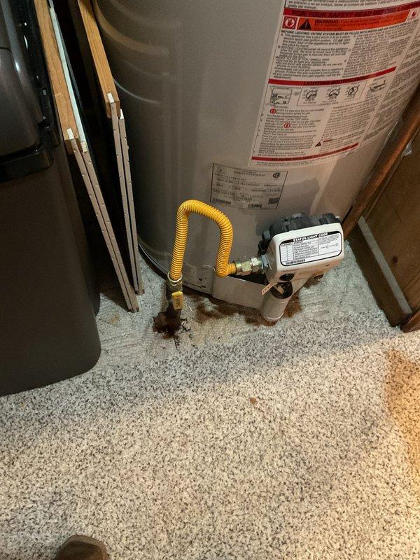 Provided estimate for replacement of existing AO Smith gas water heater located on main floor of residence. Unit currently operational but producing discolored water. Assessed installation area, gas line connections, and venting requirements. Discussed options for standard tank replacement versus tankless water heater conversion based on homeowner's request to explore tankless alternatives.