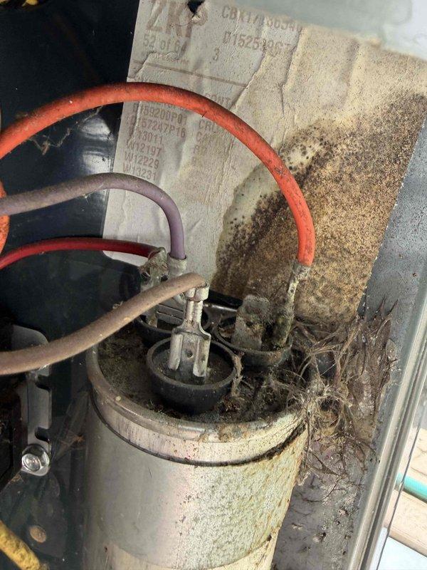 Completed comprehensive air conditioning tune-up including inspection of cooling system components and shared furnace elements. Inspected dual-run capacitor showing signs of weathering and oxidation on exterior casing; verified electrical specifications at 370VAC with 40+5 μF ratings remain within operational parameters. Cleared extensive debris accumulation including dirt, plant matter, and organic material from condensate lines and surrounding compartment to restore proper airflow and drainage.