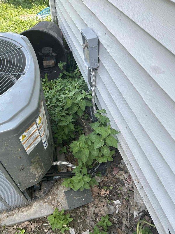 Assessed existing R-22 air conditioning system with confirmed refrigerant leak at outdoor condenser unit. Evaluated Trane condenser positioned on ground-level pad with vegetation growth impacting clearance requirements. Documented system configuration with furnace located in main floor laundry room to remain in service. Provided replacement estimate for new air conditioning system while retaining existing heating equipment, discussed financing options, and coordinated follow-up contact through designated family representative for approval and scheduling.