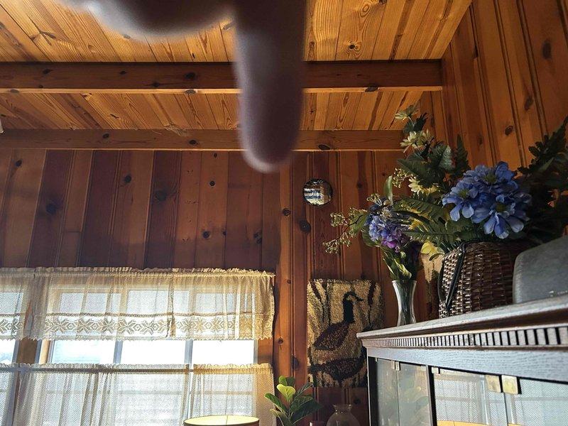 Conducted on-site evaluation for mini split installation in 1200 square foot cottage residence. Assessed existing electrical infrastructure including exterior disconnect box and conduit routing on building exterior, and evaluated interior space configuration featuring wood-paneled walls and ceiling construction to determine optimal equipment placement and refrigerant line routing for ductless heat pump system.