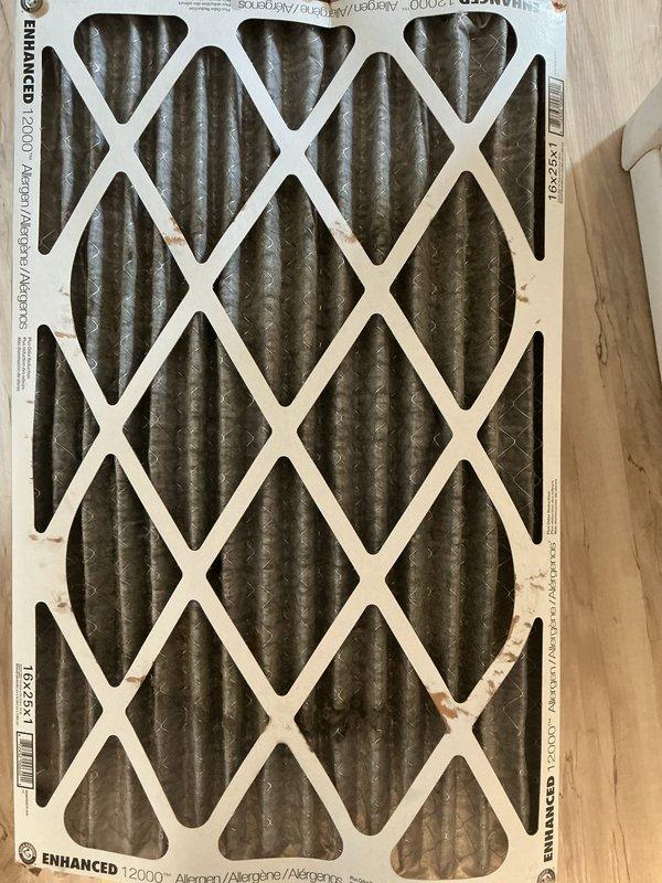 Completed first preventive maintenance visit on residential cooling system. Inspected evaporator coil and found moderate to heavy accumulation of dust and debris on fins and surfaces, typical of unit requiring service. Removed and inspected air filter, which showed significant loading with particulate matter indicating proper filtration but need for replacement. Documented equipment condition with photos showing dirty evaporator coil with buildup between fins and used air filter with dark discoloration throughout pleated media. Performed standard maintenance procedures per manufacturer specifications. System operational upon completion. Customer notified regarding heating system maintenance scheduling.