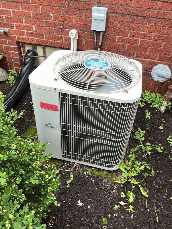 Completed preventive maintenance on residential cooling system including Bryant outdoor condenser unit and Trane furnace with integrated cooling components. Performed comprehensive inspection of condenser fan operation, electrical connections at disconnect box, refrigerant levels, and condensate drain lines. Verified proper airflow through outdoor unit grille, confirmed all safety controls functioning correctly, and documented system operating within manufacturer specifications.