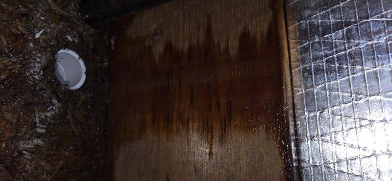 Responded to urgent no-cool call on recently installed AC unit and discovered missing condensate drain line, causing four months of continuous water discharge into crawlspace. Documented extensive water damage including flooded crawlspace, warped and sinking bedroom floor, and severe moisture staining on wooden subfloor and structural components. Photographed water damage patterns on plywood decking showing vertical streaking and discoloration from prolonged moisture exposure, deteriorated composite materials, and affected areas near HVAC ductwork and insulation. Identified improperly installed air conditioning system lacking required primary drain line, resulting in catastrophic water intrusion and compromised structural integrity. Assessed cooling performance concerns in addition to water damage remediation needs.