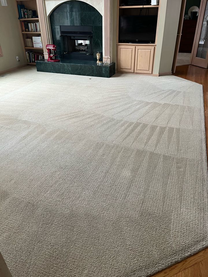 Carpet cleaning 10 rooms