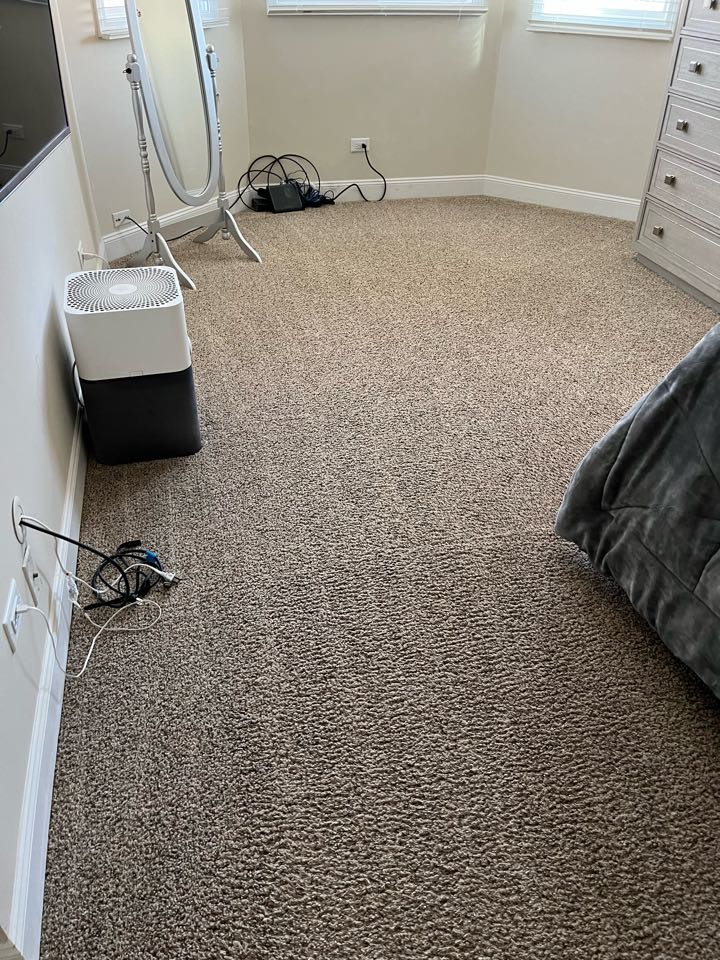Urine removal carpet cleaning 