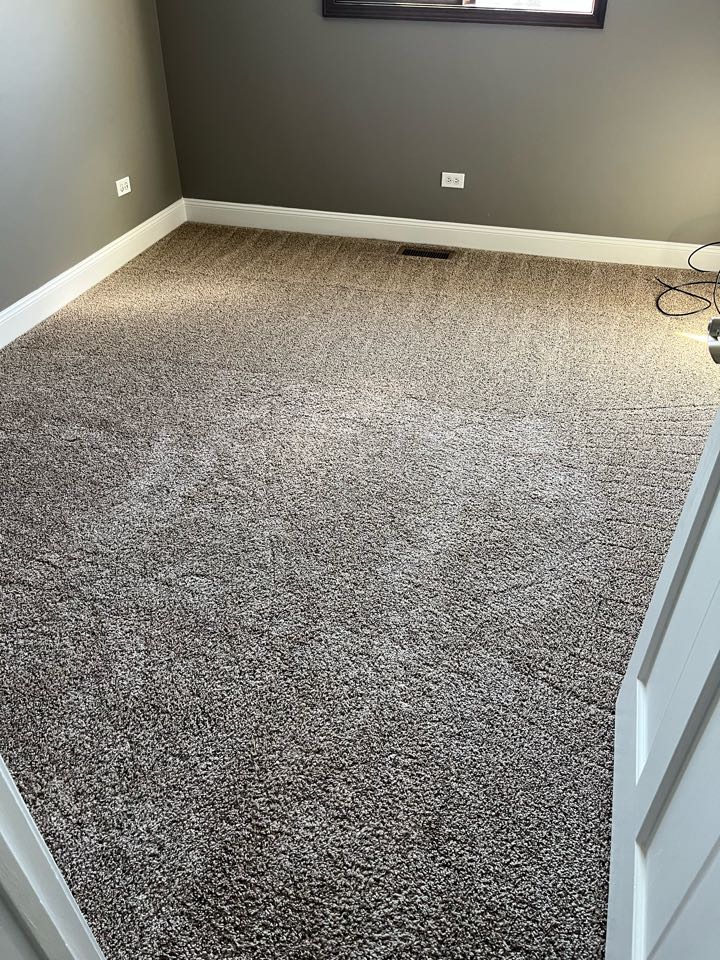 Urine removal carpet cleaning 