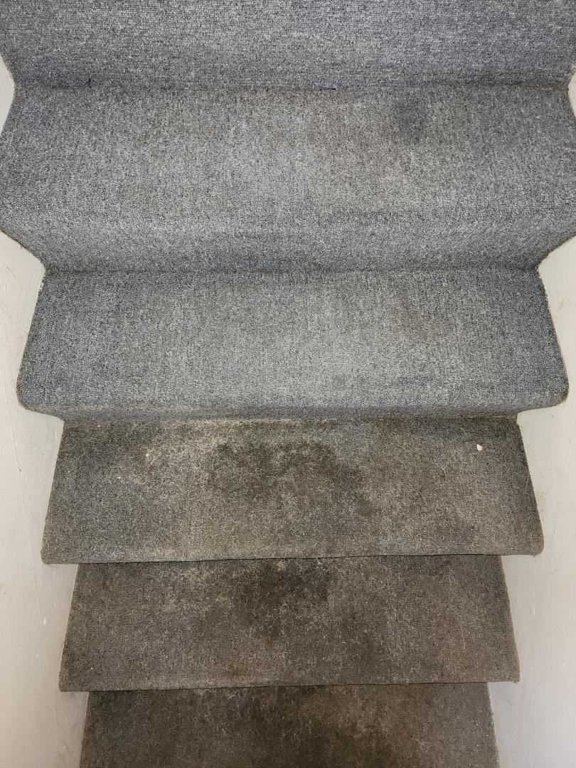 Carpet cleaning 