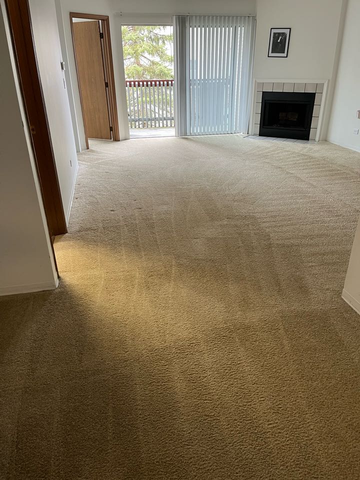 Carpet cleaning move out 
