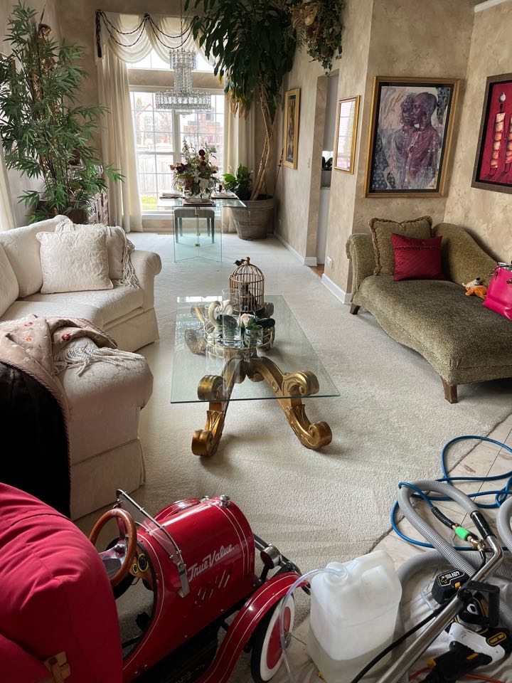 Upholstery and carpet cleaning 