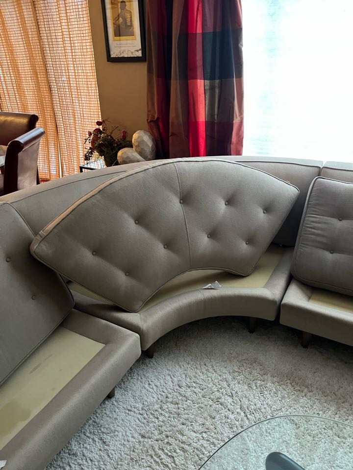 Upholstery and carpet cleaning 