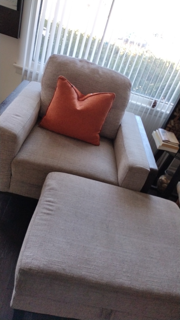 Furniture Cleaning 