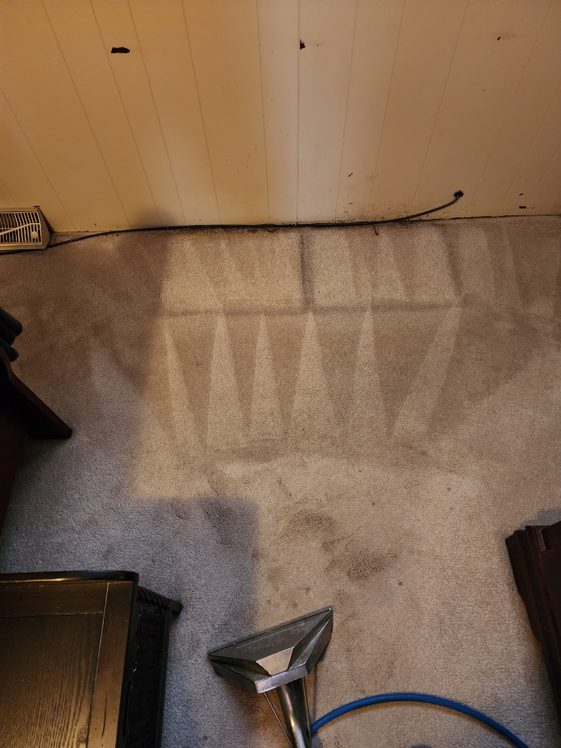 Carpet 