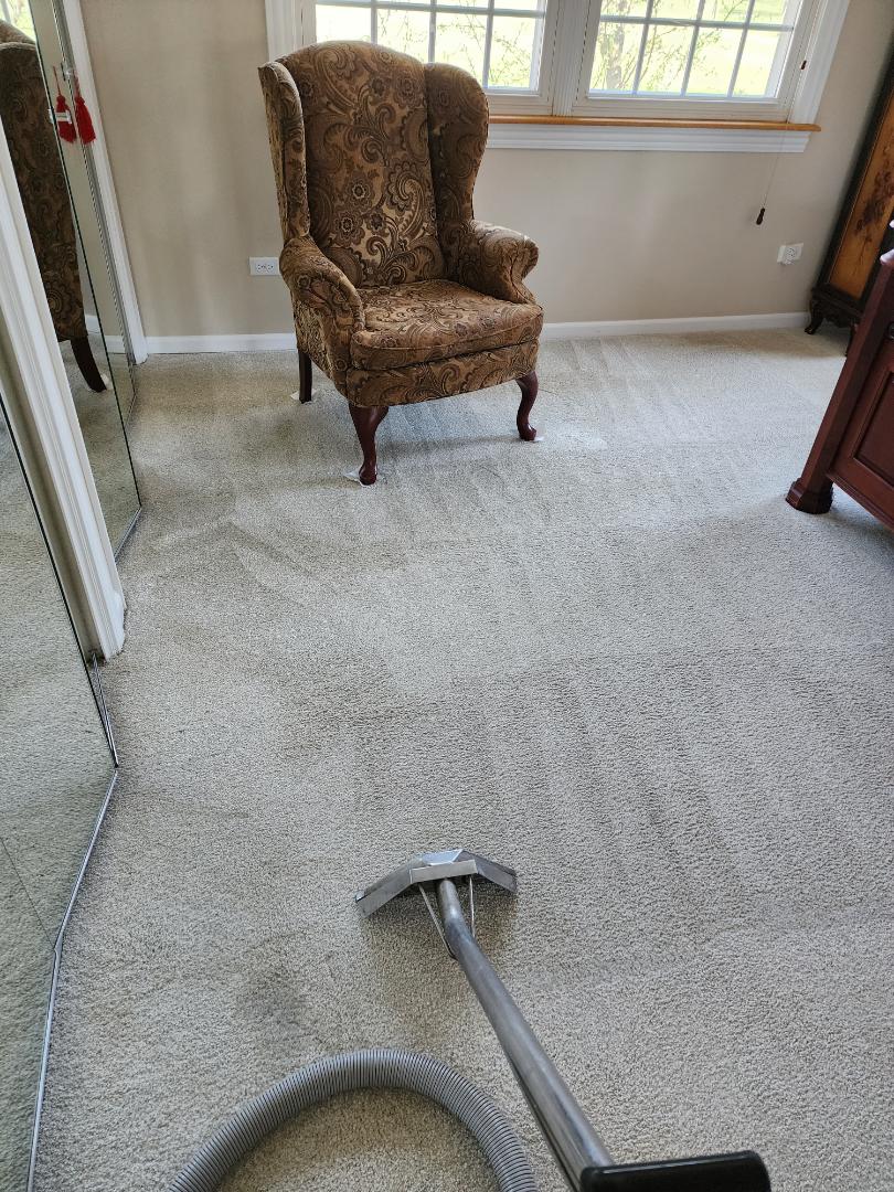 Carpet 