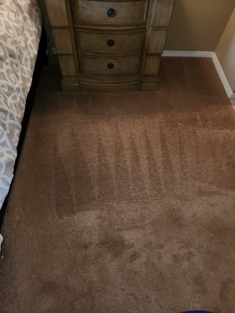 Carpet 