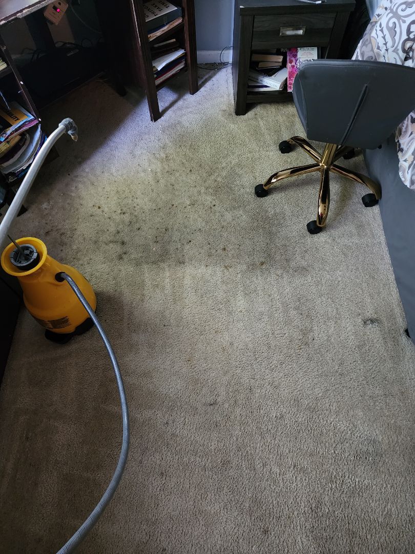 Carpet cleaning 