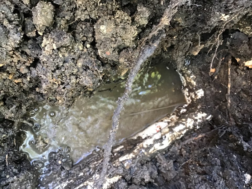 Sprinkler Repair and Installation Dallas, TX American Sprinkler