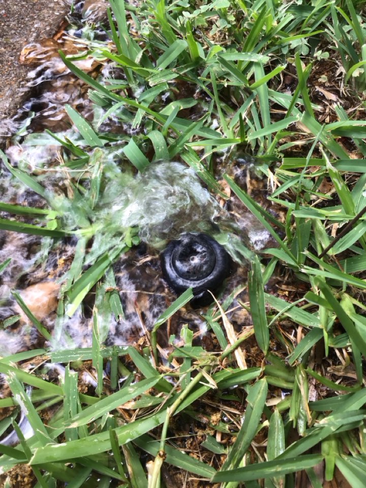 Lewisville, TX - Replacing a spray head that is broken underneath the head on a rain bird system Lewisville, TX - Replacing a spray head that is broken underneath the head on a rain bird system