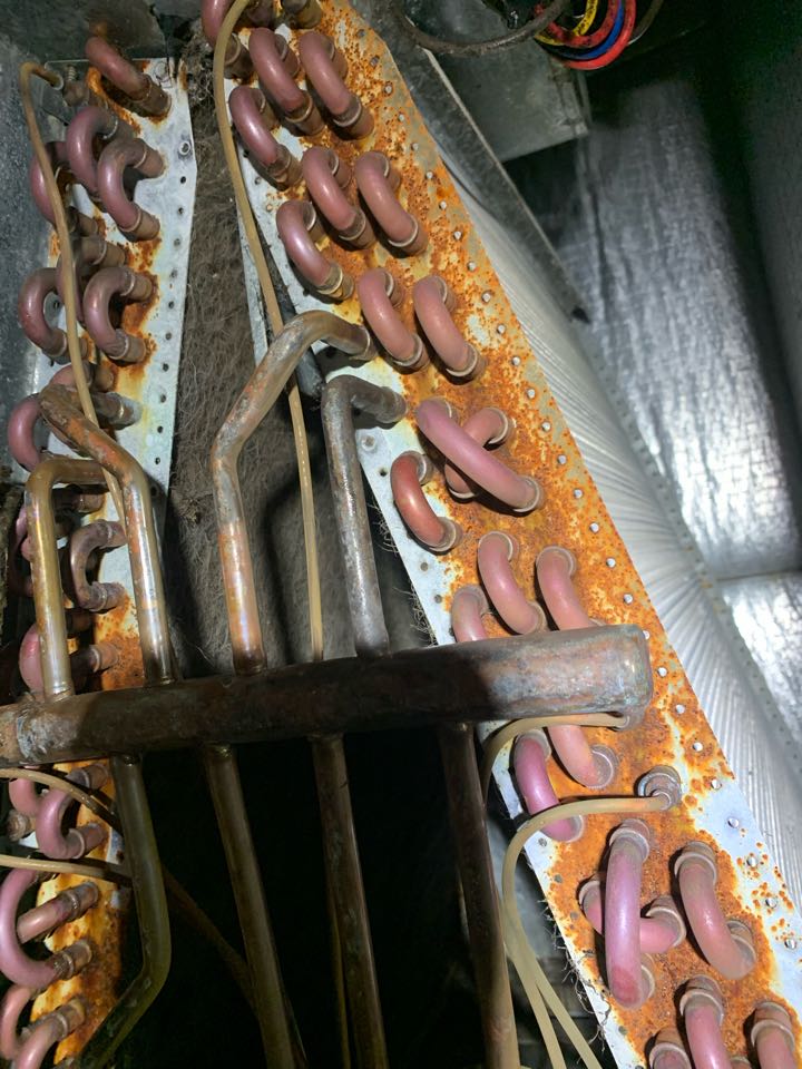 Clean indoor coil full of dog hair