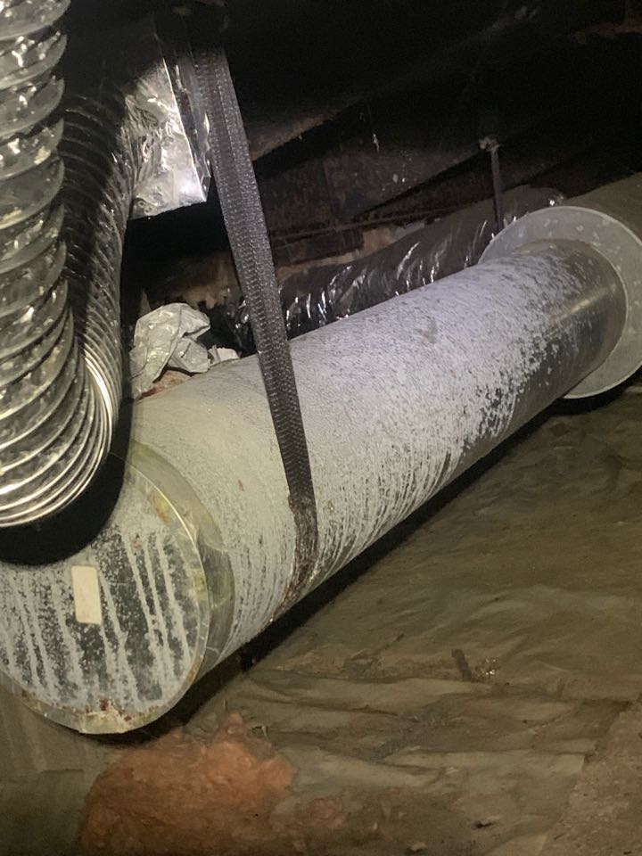 Ductwork diagnostics and ecobee replacement 