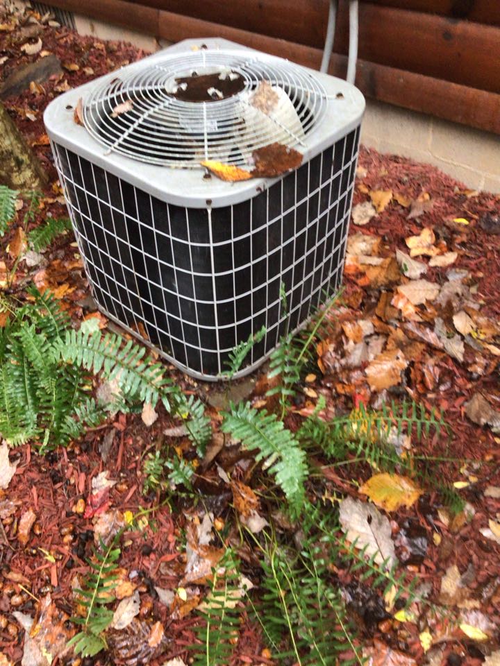 Carrier heatpump no heat