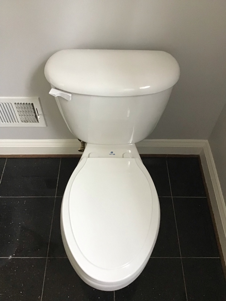 Repairing toilet in Alexandria