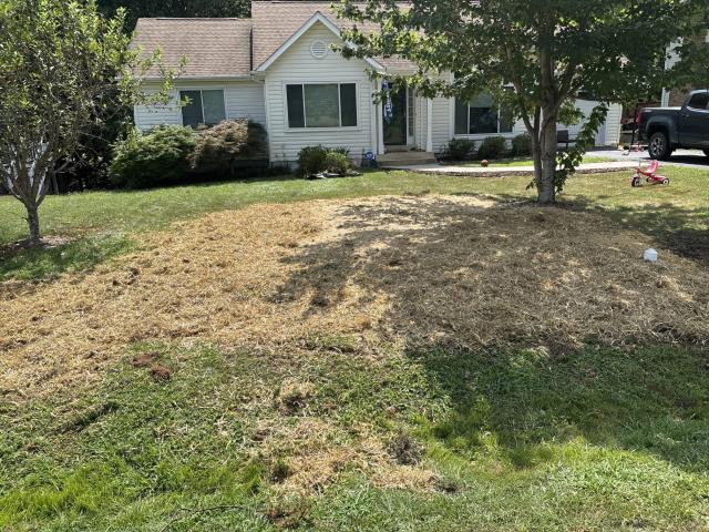 spot repair sewer line