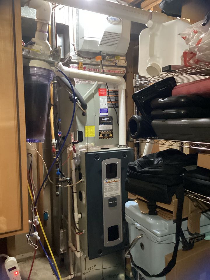 Burke, VA - 1st check up