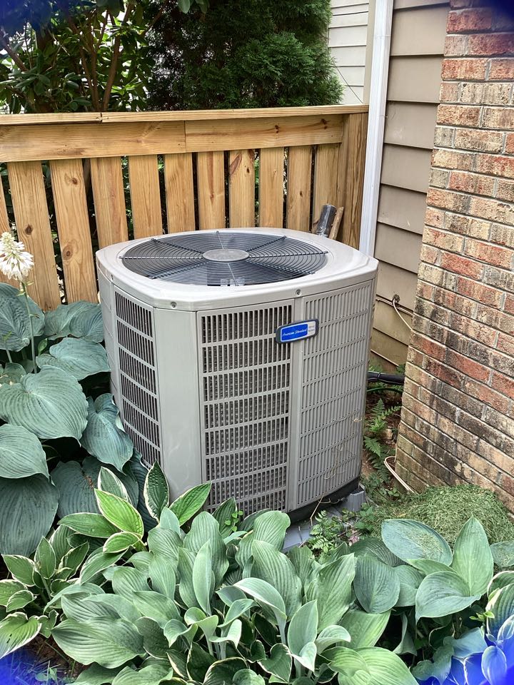 Burke, VA - 1st check up