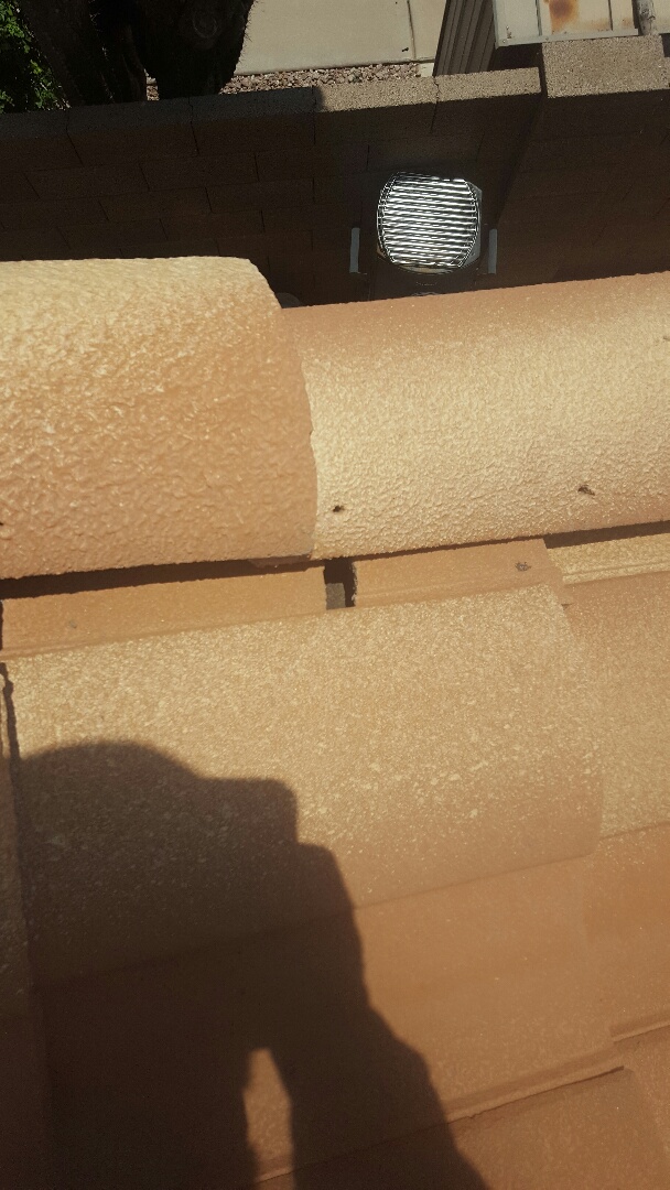 Chandler, AZ - Plywood and tile Chandler, AZ - Plywood and tile