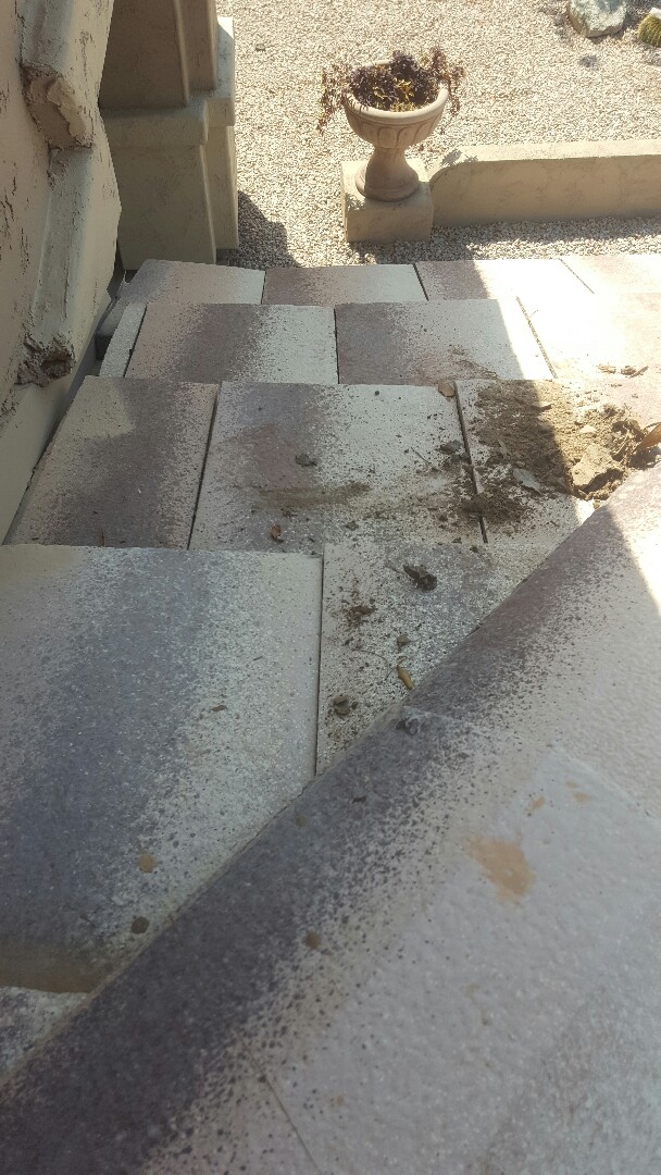 Gilbert, AZ - Redo said aera new felt Gilbert, AZ - Redo said aera new felt