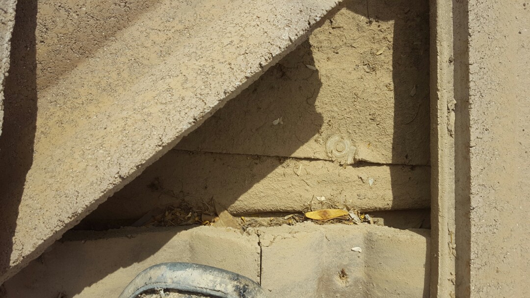 Gilbert, AZ - Underlayment bad Gilbert, AZ - Underlayment bad