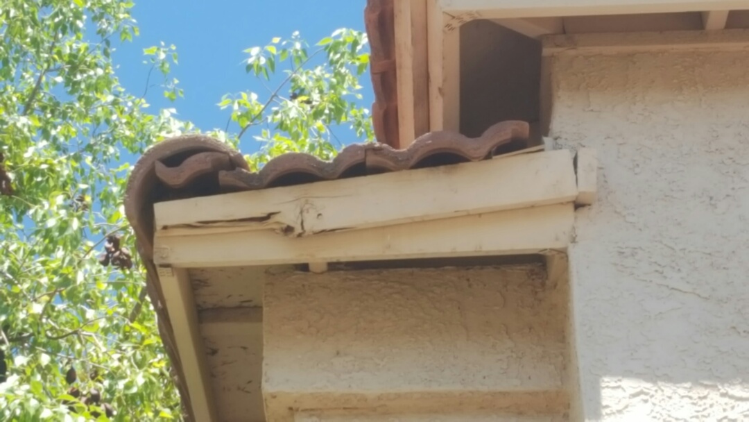 Gilbert, AZ - Side leaking lots debri Gilbert, AZ - Side leaking lots debri