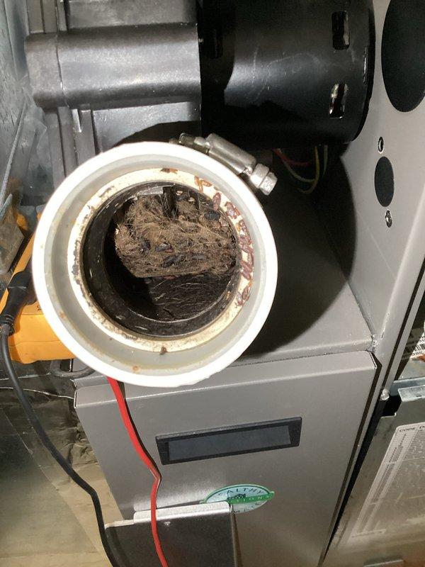 Performed annual Trio Maintenance on 10-year-old HVAC system, completing the second scheduled visit. Discovered significant debris accumulation in the blower assembly that was affecting system efficiency. Cleaned blower compartment and replaced three 20x25x5 air filters. Verified proper operation of both upstairs and downstairs zone controls, confirming heat mode functionality and accurate thermostat readings.