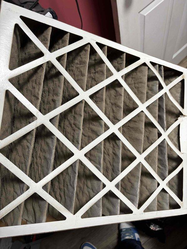 Completed Platinum Level maintenance on 3-year-old HVAC system during second scheduled visit. Replaced dirty 16x20x5 air filter and inspected blower wheel assembly, which showed normal operational wear but remains in good working condition.