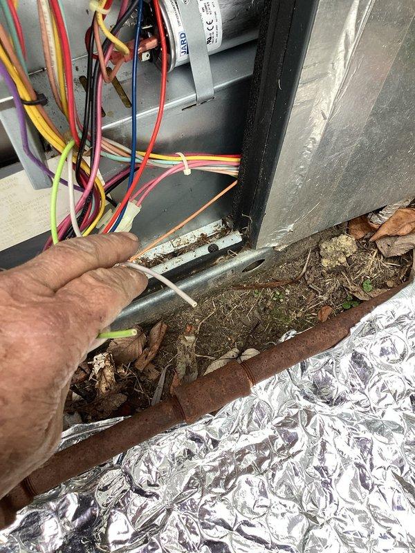 Responded to no heat call for 7-year-old system that was not initiating heating cycle when thermostat called for heat. Upon inspection, discovered significant debris accumulation at unit base and corrosion issues. Diagnosed faulty control board with damaged relay components and compromised electrical connections. Replaced control board, cleaned system components, and verified proper operation with successful heating cycle initiation.