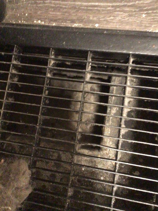 Conducted annual Gold Level maintenance on a 6-year-old HVAC system. Inspection revealed significant dust and debris accumulation in the ductwork and ventilation grates, with possible mold growth on interior duct surfaces. Performed thorough cleaning of accessible components and documented areas requiring additional attention.