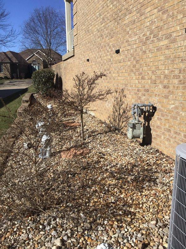 Conducted generator installation assessment at residential property with natural gas availability. Evaluated electrical service panel in basement/utility area for generator integration capability. Customer requires backup power for critical loads including HVAC, refrigerator, TV, and essential lighting circuits in living room, kitchen and bedrooms.