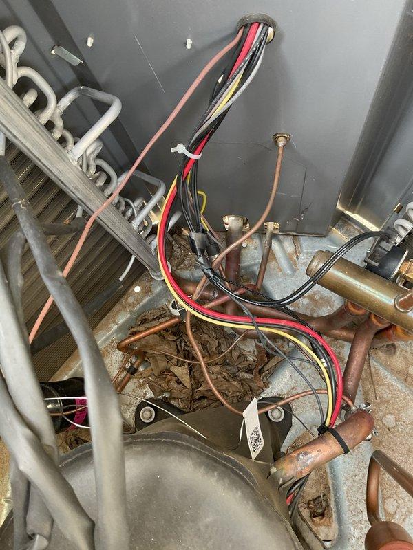 Responded to a no-heat call for a 2-year-old system with homeowner reporting zero airflow and indoor temperature of 60°F. Inspection revealed accumulated debris in the unit affecting electrical components. Performed thorough cleaning of system interior and reconnected loose wiring connections found between control board and blower motor. After repair, system restored to proper operation with normal heating function and airflow.