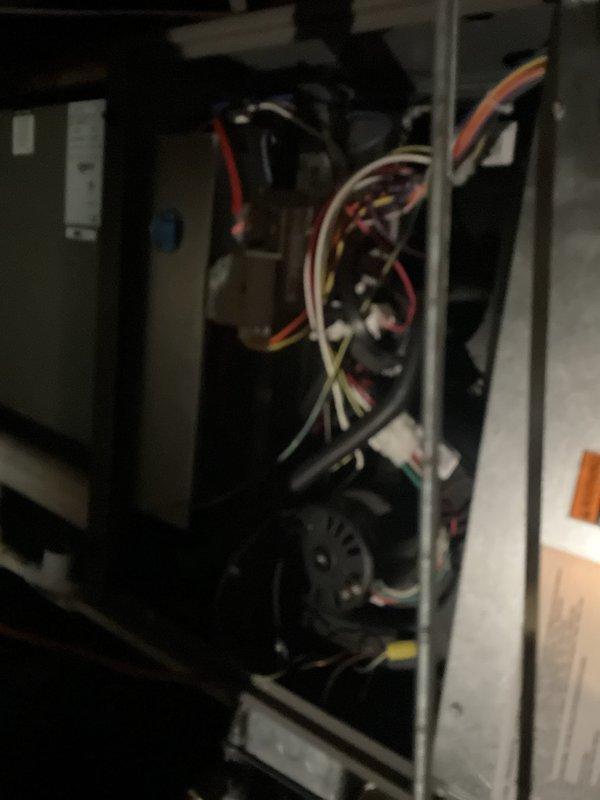 Completed annual Platinum Level maintenance on a 1-year-old HVAC system. Inspected and serviced internal electrical components and connections, including motor assembly and control wiring. Documented system condition with photographs showing the unit installation and interior wiring configuration for service records.