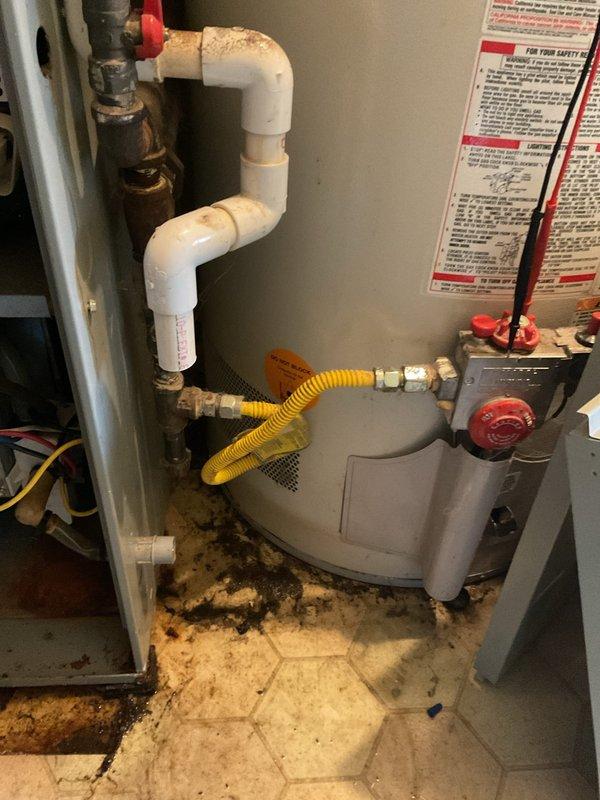Performed annual first visit maintenance on two aging HVAC systems (19 and 21 years old) with Gold Level service plan. Inspected and serviced both furnace units, including examination of blower motor assembly, circuit boards, gas valve components, and all electrical connections. Replaced air filters (April Aire 2200 and 2400) and noted water heater shows signs of previous leakage with mineral deposits visible at base.