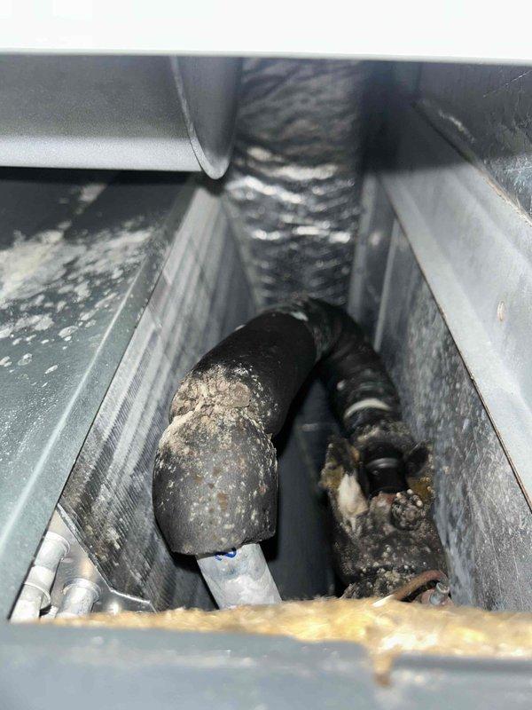 Performed Gold Level maintenance on 19-year-old HVAC system. Inspected evaporator coils showing signs of oxidation and minor corrosion at connection points, particularly at the brass valve fitting. Noted significant dust and debris accumulation in ductwork and on insulated pipes, recommending thorough cleaning before next scheduled maintenance in September 2025.