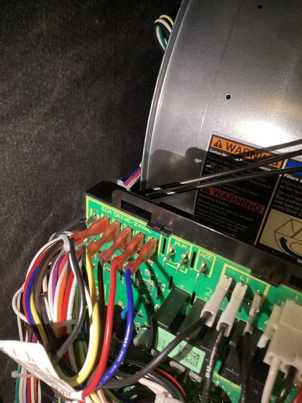 Performed scheduled 6-month maintenance visit on HVAC system. Inspected and photographed circuit board components, verifying proper wire connections to terminals (red, blue, yellow, white, and black). Examined blower motor assembly and electronic control board for any visible issues; all components appear to be functioning normally with no signs of damage or wear.