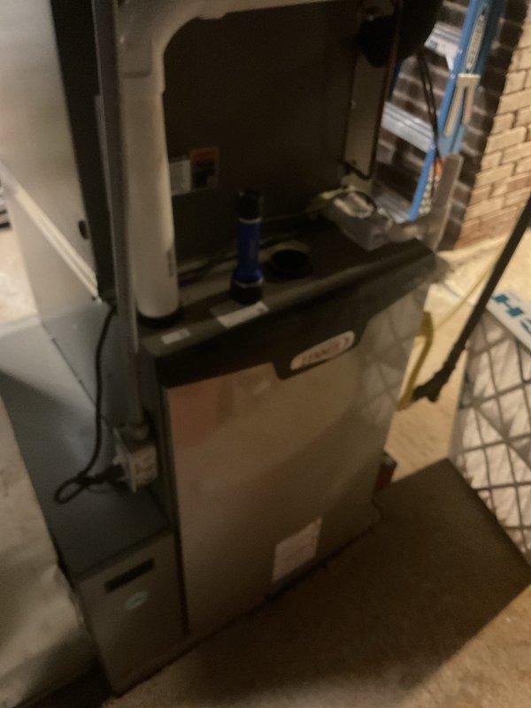 Completed platinum-level maintenance service on a 1-year-old HVAC system, which included inspection of the furnace internal components and examination of associated drainage plumbing. Replaced air filter and performed first annual visit maintenance procedures according to manufacturer specifications, documenting system condition with detailed photographs for service records.