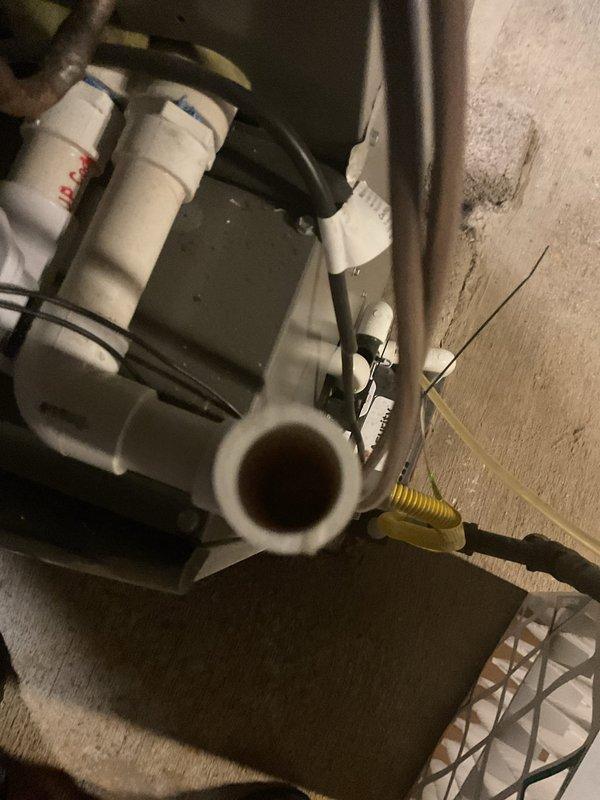 Completed platinum-level maintenance service on a 1-year-old HVAC system, which included inspection of the furnace internal components and examination of associated drainage plumbing. Replaced air filter and performed first annual visit maintenance procedures according to manufacturer specifications, documenting system condition with detailed photographs for service records.