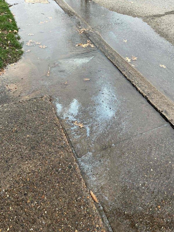 Performed scheduled annual maintenance on a 1-year-old AO Smith ProLine tanked water heater, completing the second maintenance visit since installation. Successfully flushed the system to remove sediment buildup, inspected all connections and verified proper venting through the galvanized exhaust flue. Noted some water pooling on exterior concrete walkway, which was documented with photos.