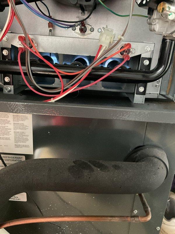 Diagnosed and repaired no-heat condition on 3-year-old furnace by inspecting the ignition system and verifying proper flame sensing. Restored normal operation by cleaning burner assembly and checking all electrical connections, confirming proper gas valve operation with visible blue flames and normal ignition sequence.