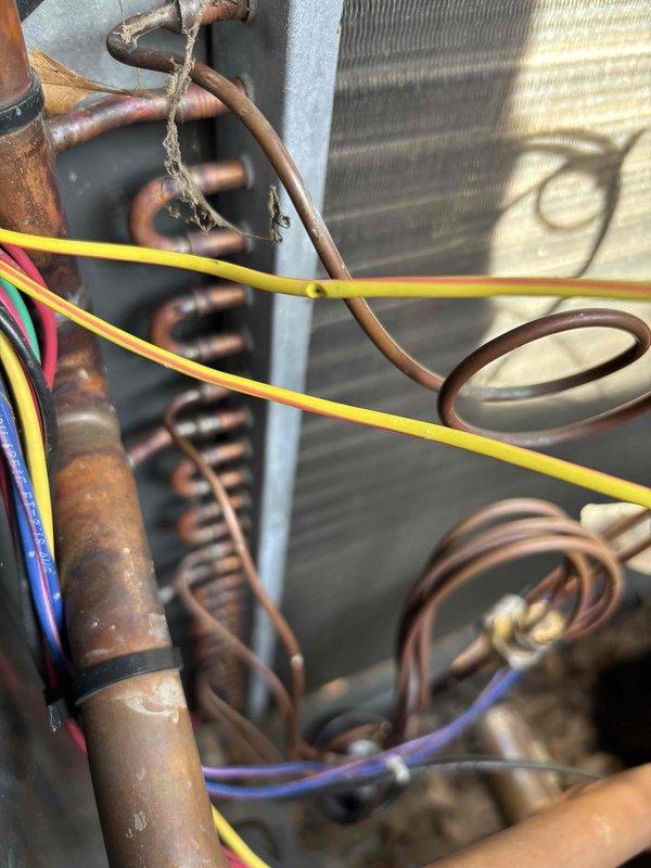 Responded to no heat call on 4-year-old system with no airflow or system operation. Performed diagnostic inspection and confirmed no power issues at breaker panel or disconnect. Inspected internal components including heat exchanger coil, refrigerant lines, and electrical connections. Observed copper refrigerant tubing with normal oxidation consistent with age and operation. Verified heat exchanger fins intact and coil assembly in serviceable condition. Traced wiring harness and control connections throughout unit. Documented system condition with photographs for service records.