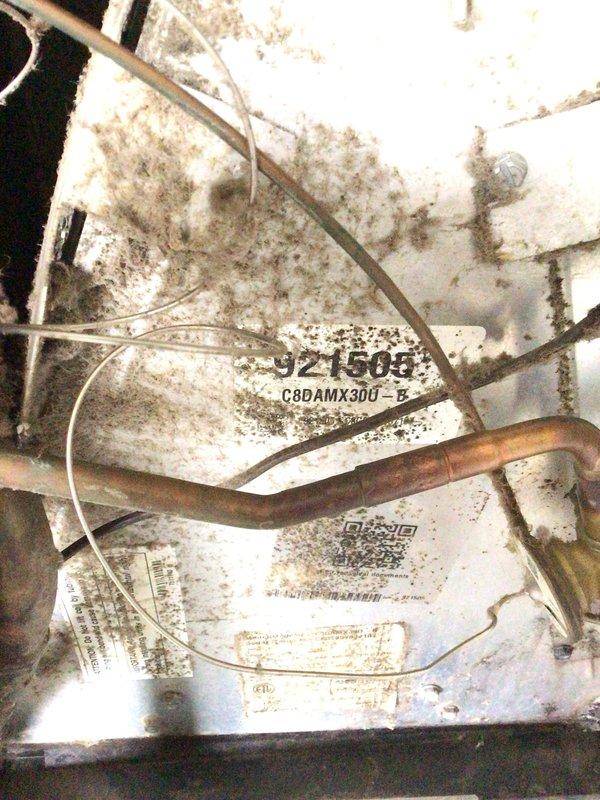 Responded to service call for second opinion on 6-year-old system blowing warm air with previous diagnosis of failed compressor. Upon inspection, discovered extensive mold and biological contamination on air handler cabinet and internal components, including evaporator coil assembly. Contamination indicated prolonged moisture exposure and inadequate drainage. Assessed compressor operation and refrigerant system functionality. Documented severe equipment deterioration with photographic evidence showing heavy mold growth on cabinet surfaces, wiring, and refrigeration lines. Provided homeowner with accurate diagnosis and recommended remediation options for contaminated equipment beyond initial compressor concern.